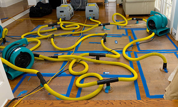 Professional Water Extraction technician working in Brunswick, ME